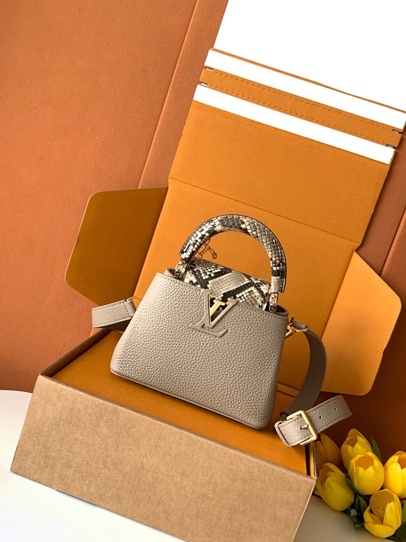 Louis Vuitton ルイヴィトン バッグ 新品 Nランク