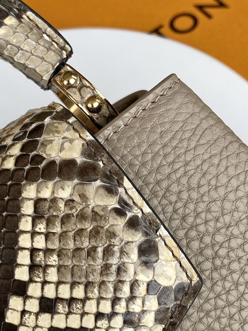 Louis Vuitton ルイヴィトン バッグ 新品 Nランク - 画像 (9)