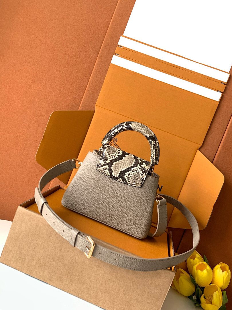 Louis Vuitton ルイヴィトン バッグ 新品 Nランク - 画像 (6)