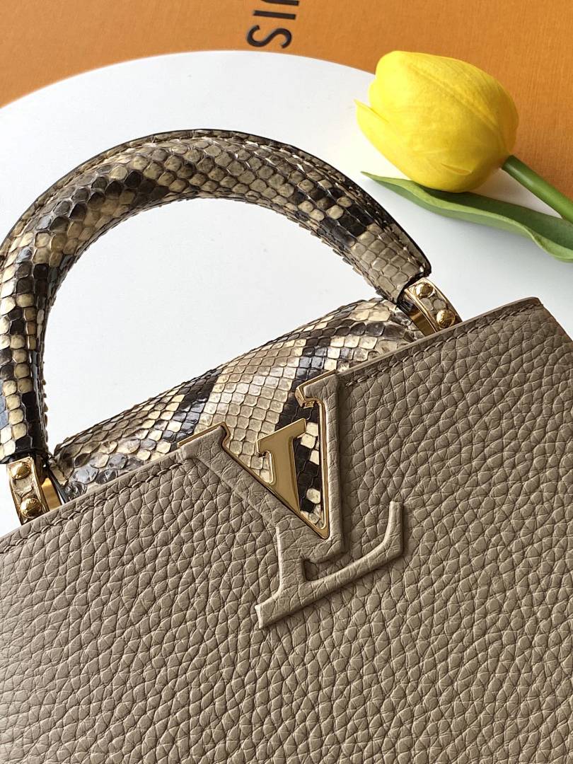 Louis Vuitton ルイヴィトン バッグ 新品 Nランク - 画像 (4)