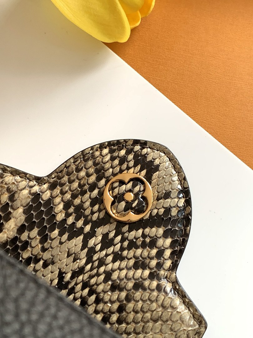 Louis Vuitton ルイヴィトン バッグ 新品 Nランク - 画像 (3)