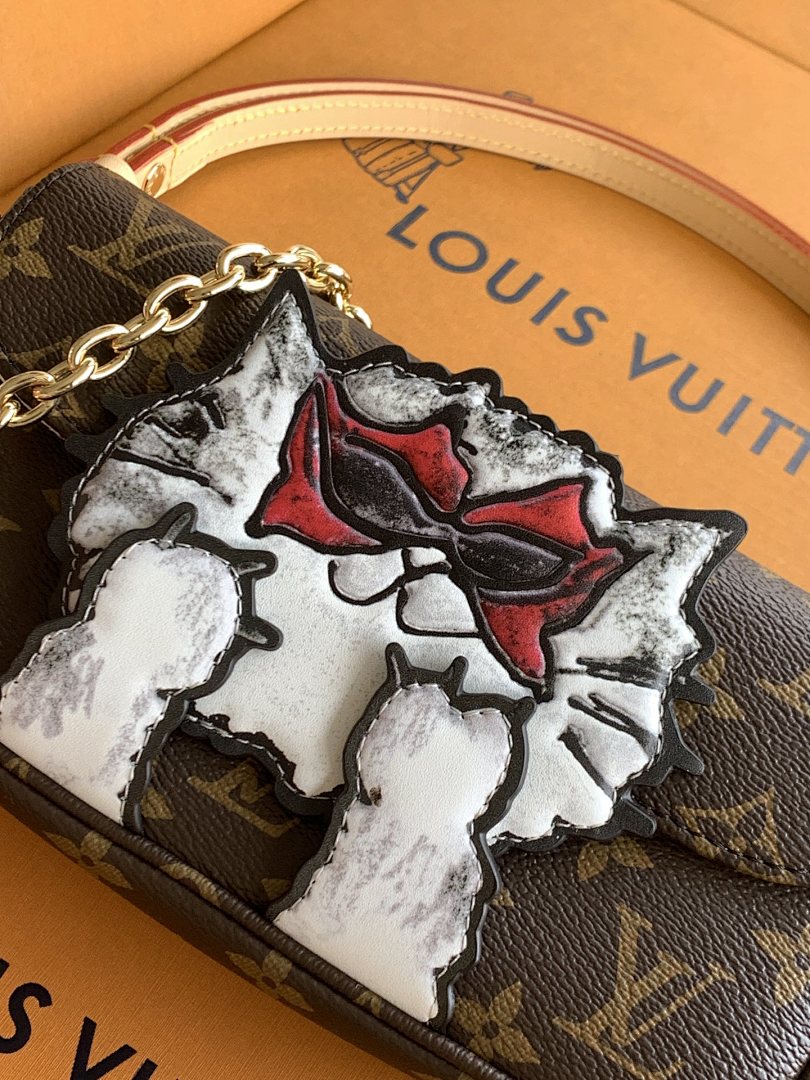 Louis Vuitton ルイヴィトン バッグ 新品 Nランク - 画像 (5)