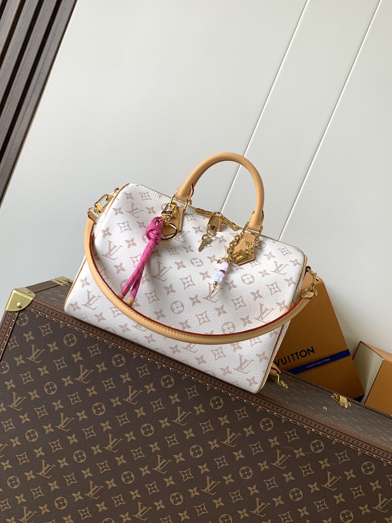 Louis Vuitton ルイヴィトン バッグ 新品 Nランク - 画像 (3)