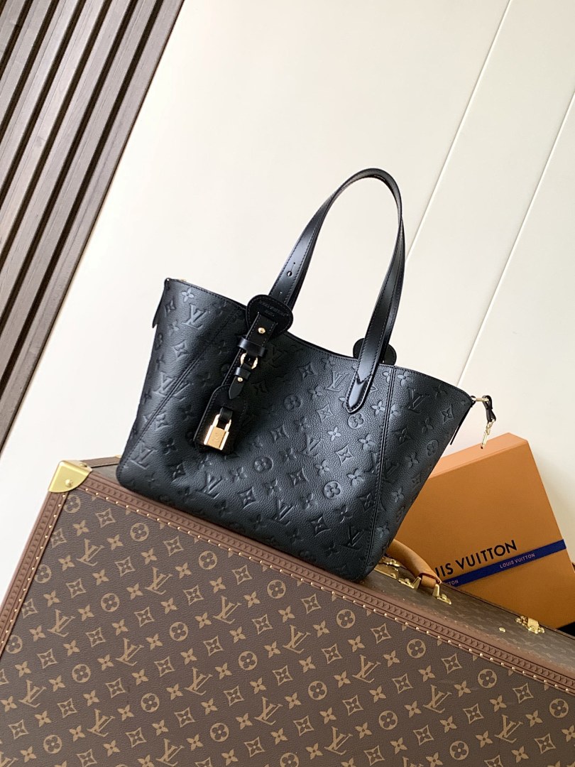 Louis Vuitton ルイヴィトン バッグ 新品 Nランク - 画像 (7)
