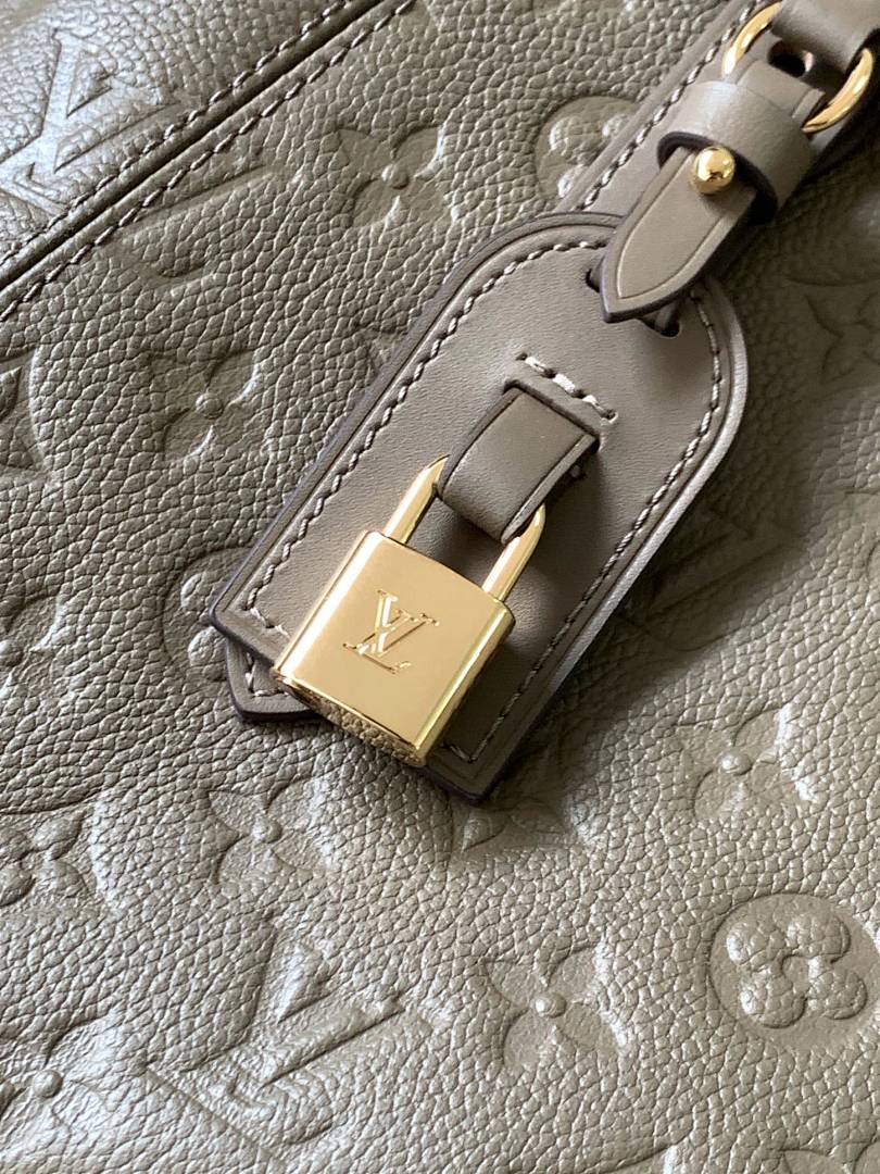 Louis Vuitton ルイヴィトン バッグ 新品 Nランク - 画像 (4)