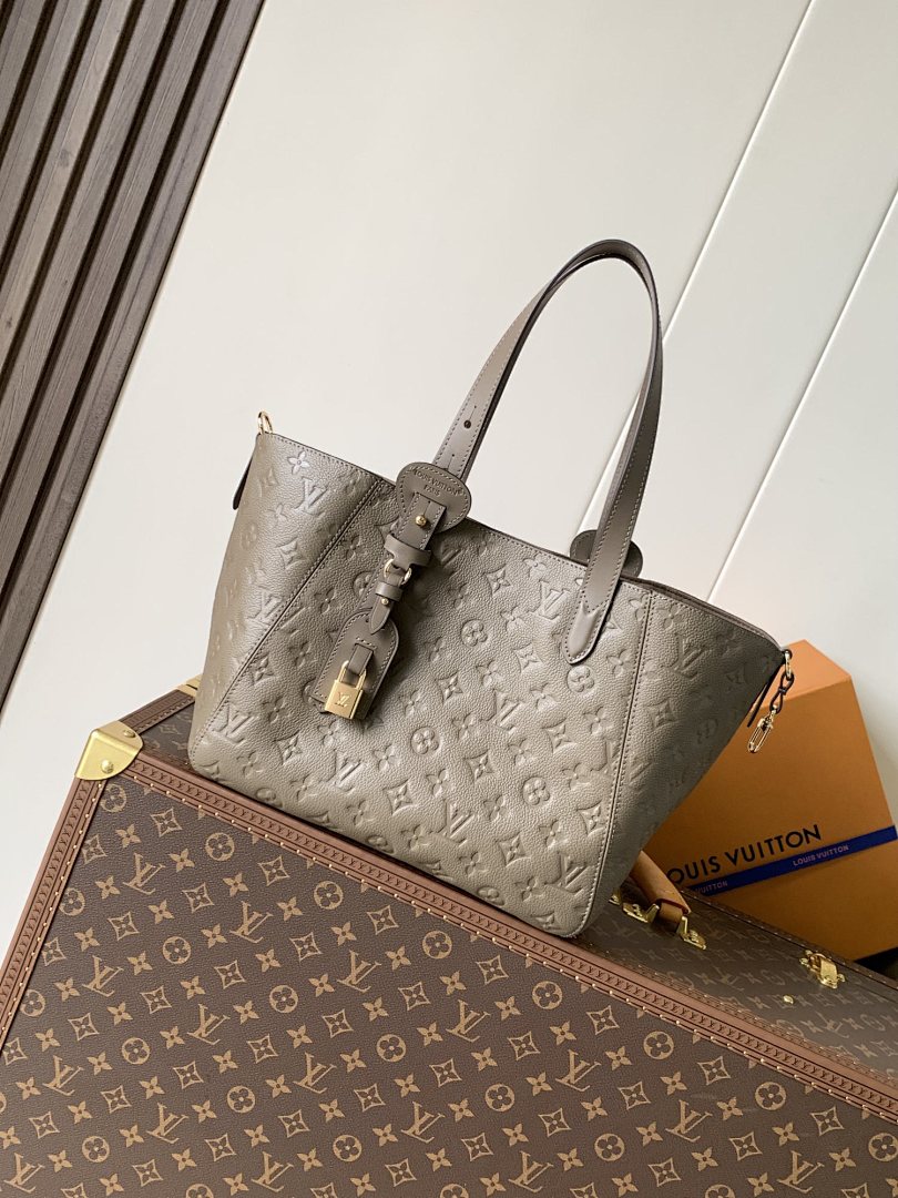 Louis Vuitton ルイヴィトン バッグ 新品 Nランク - 画像 (3)