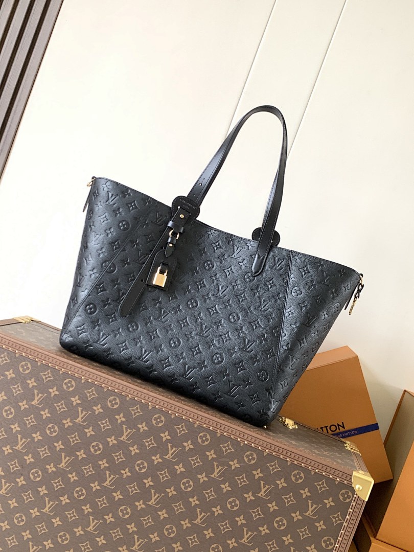Louis Vuitton ルイヴィトン バッグ 新品 Nランク - 画像 (4)