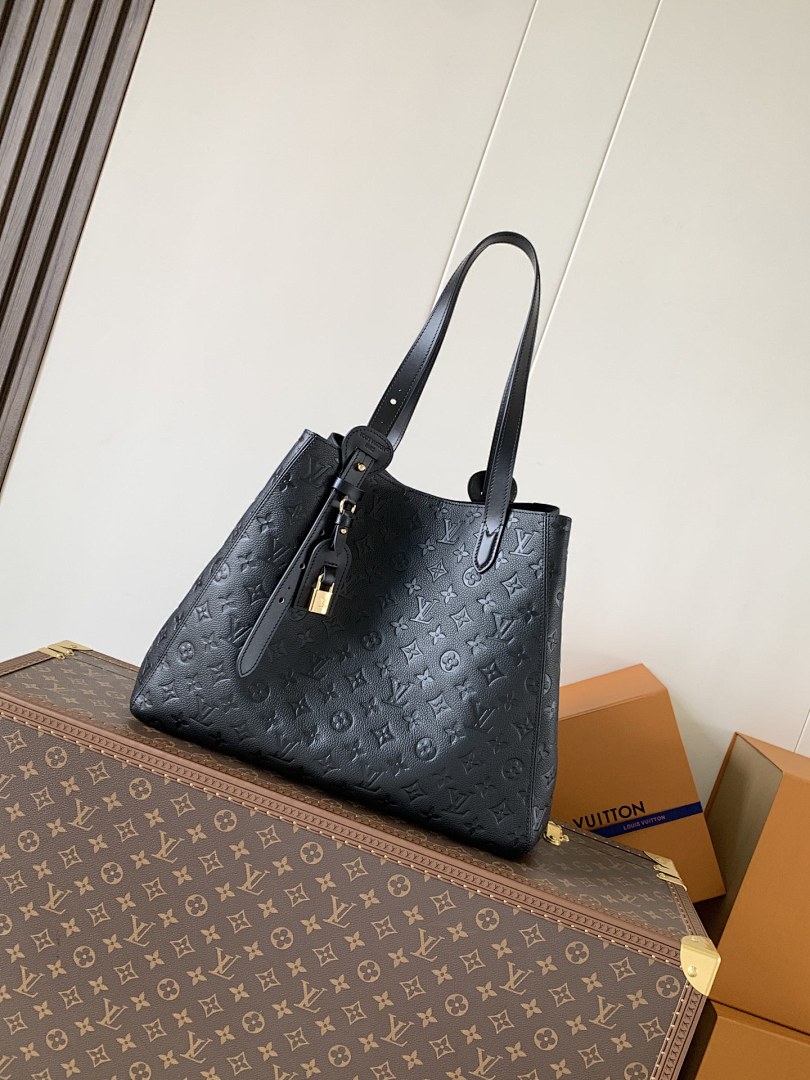 Louis Vuitton ルイヴィトン バッグ 新品 Nランク - 画像 (3)
