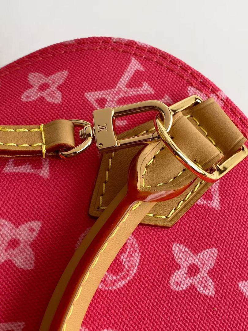 Louis Vuitton ルイヴィトン バッグ 新品 Nランク - 画像 (10)