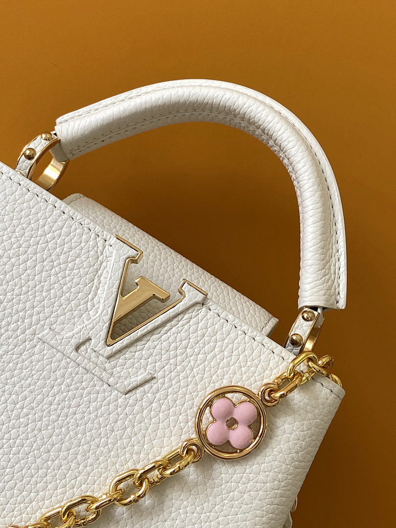 Louis Vuitton ルイヴィトン バッグ 新品 Nランク - 画像 (7)