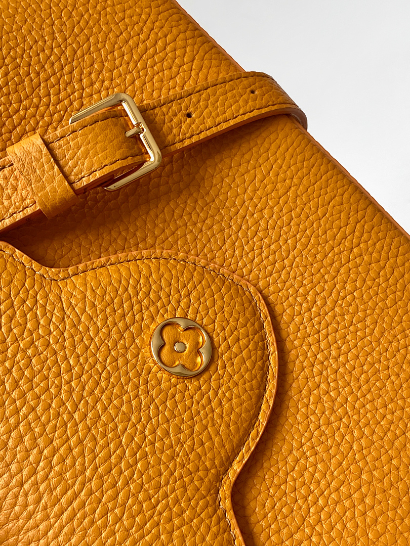 Louis Vuitton ルイヴィトン バッグ 新品 Nランク - 画像 (4)