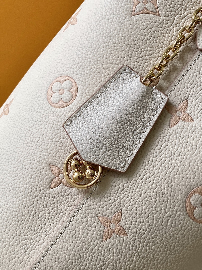 Louis Vuitton ルイヴィトン バッグ 新品 Nランク - 画像 (6)