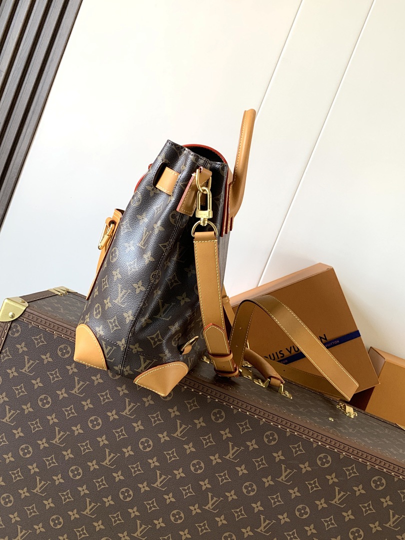Louis Vuitton ルイヴィトン バッグ 新品 Nランク - 画像 (5)