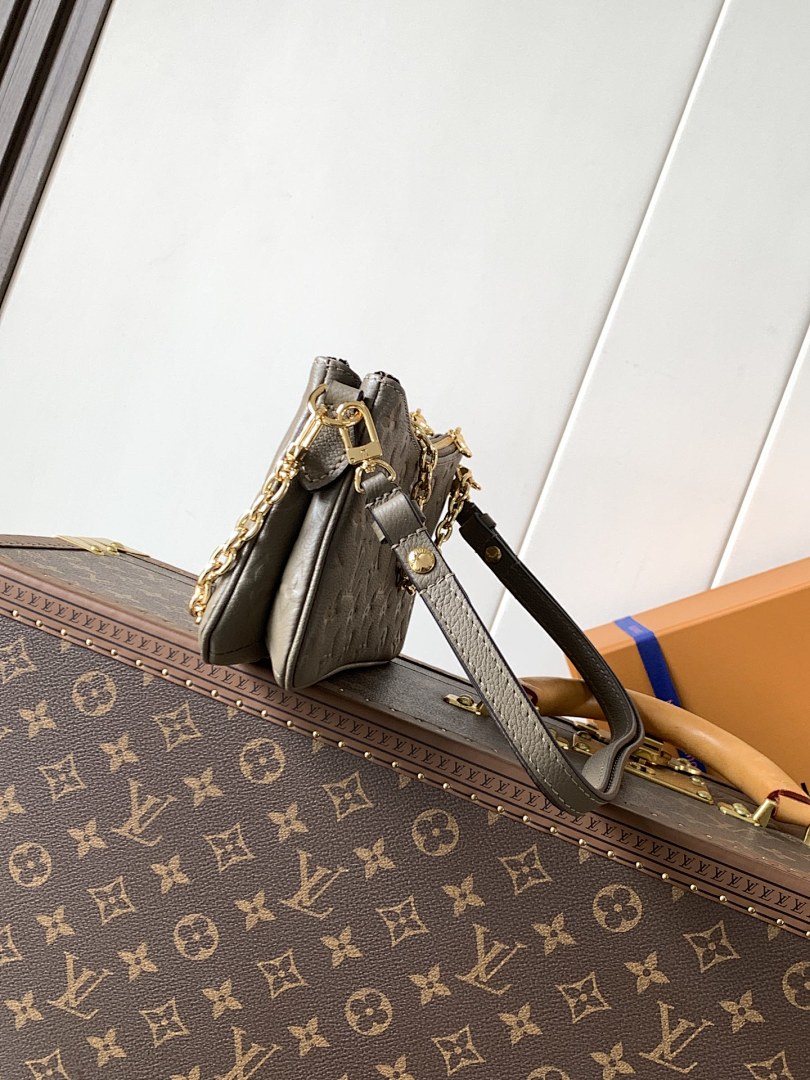 Louis Vuitton ルイヴィトン バッグ 新品 Nランク - 画像 (4)