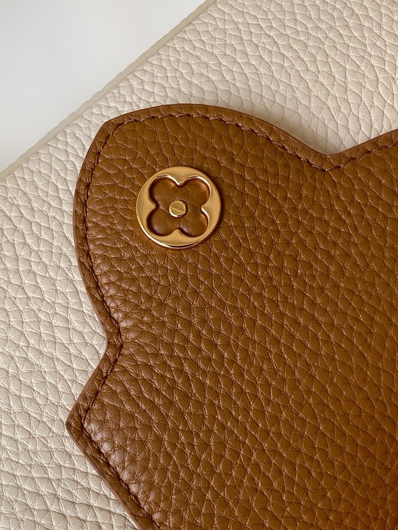Louis Vuitton ルイヴィトン バッグ 新品 Nランク - 画像 (3)