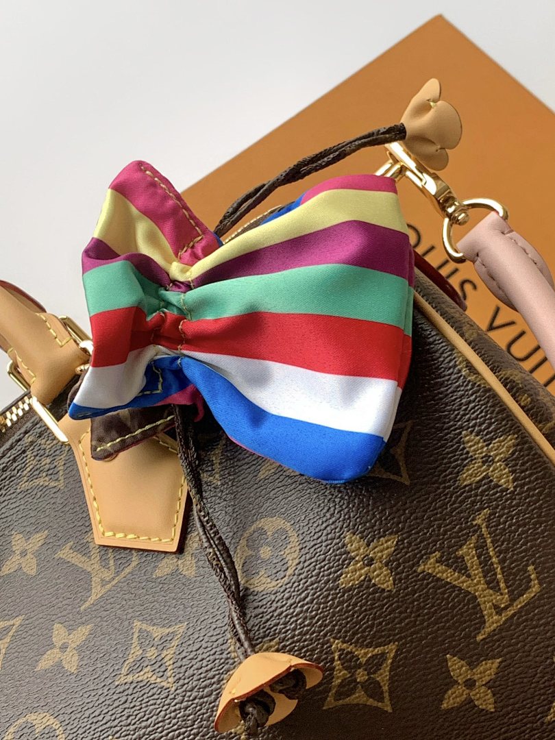 Louis Vuitton ルイヴィトン バッグ 新品 Nランク - 画像 (8)