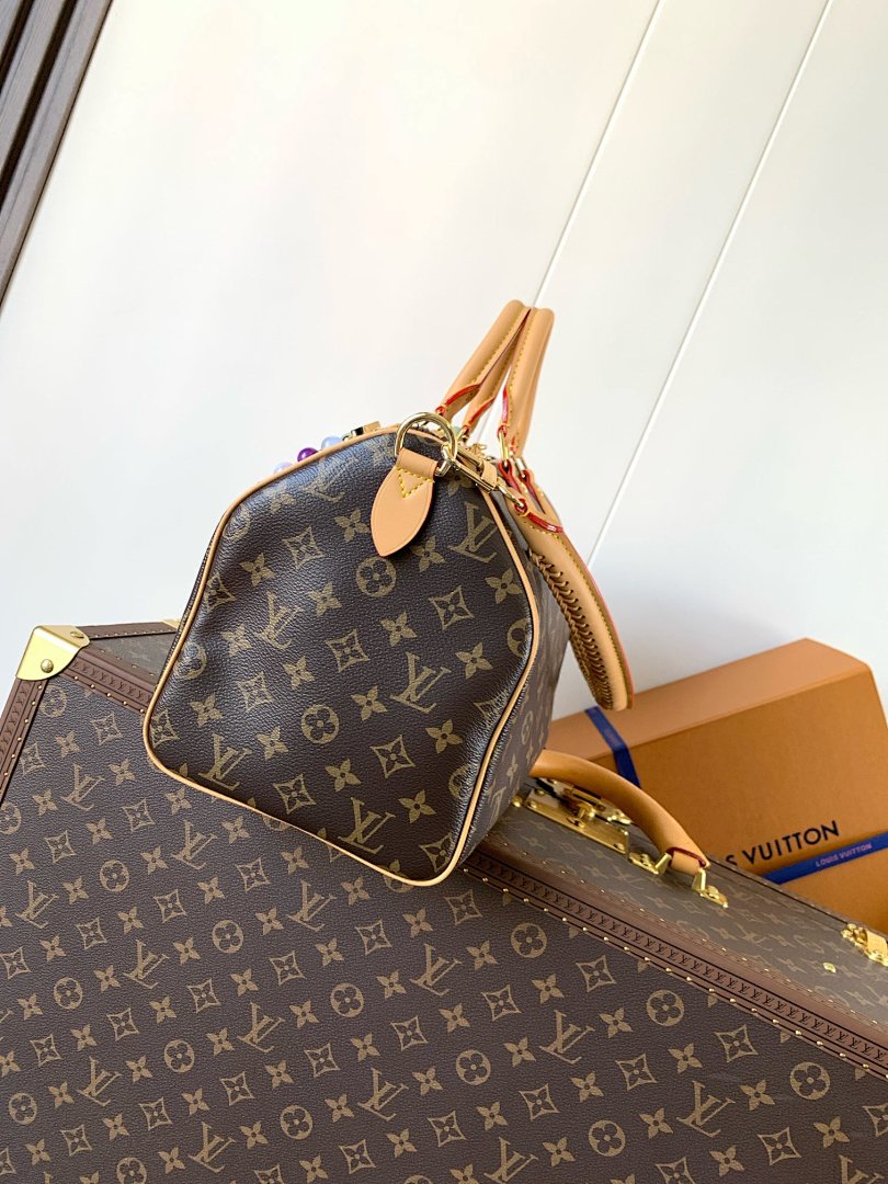 Louis Vuitton ルイヴィトン バッグ 新品 Nランク - 画像 (5)