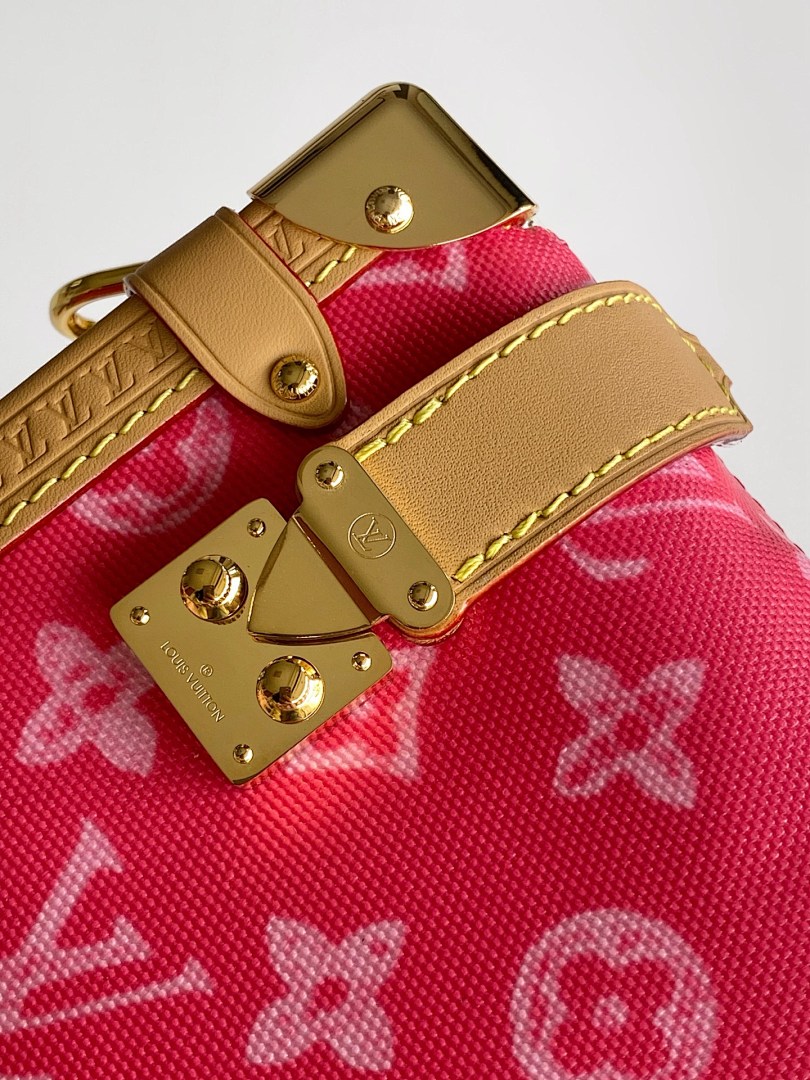 Louis Vuitton ルイヴィトン バッグ 新品 Nランク - 画像 (10)
