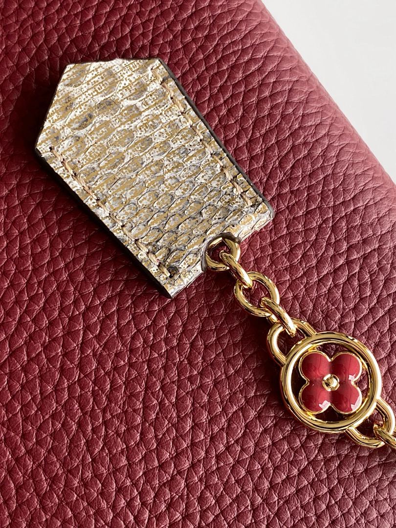 Louis Vuitton ルイヴィトン バッグ 新品 Nランク - 画像 (8)