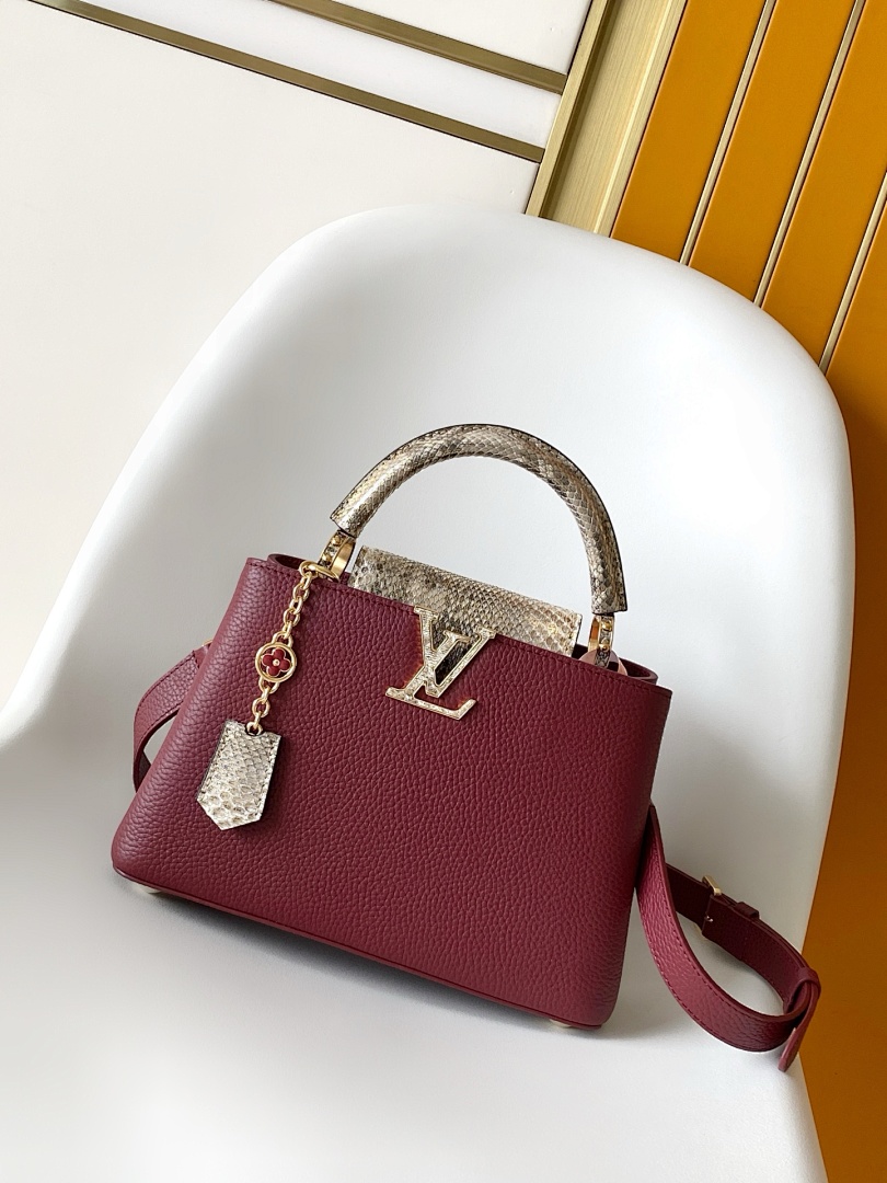 Louis Vuitton ルイヴィトン バッグ 新品 Nランク - 画像 (5)