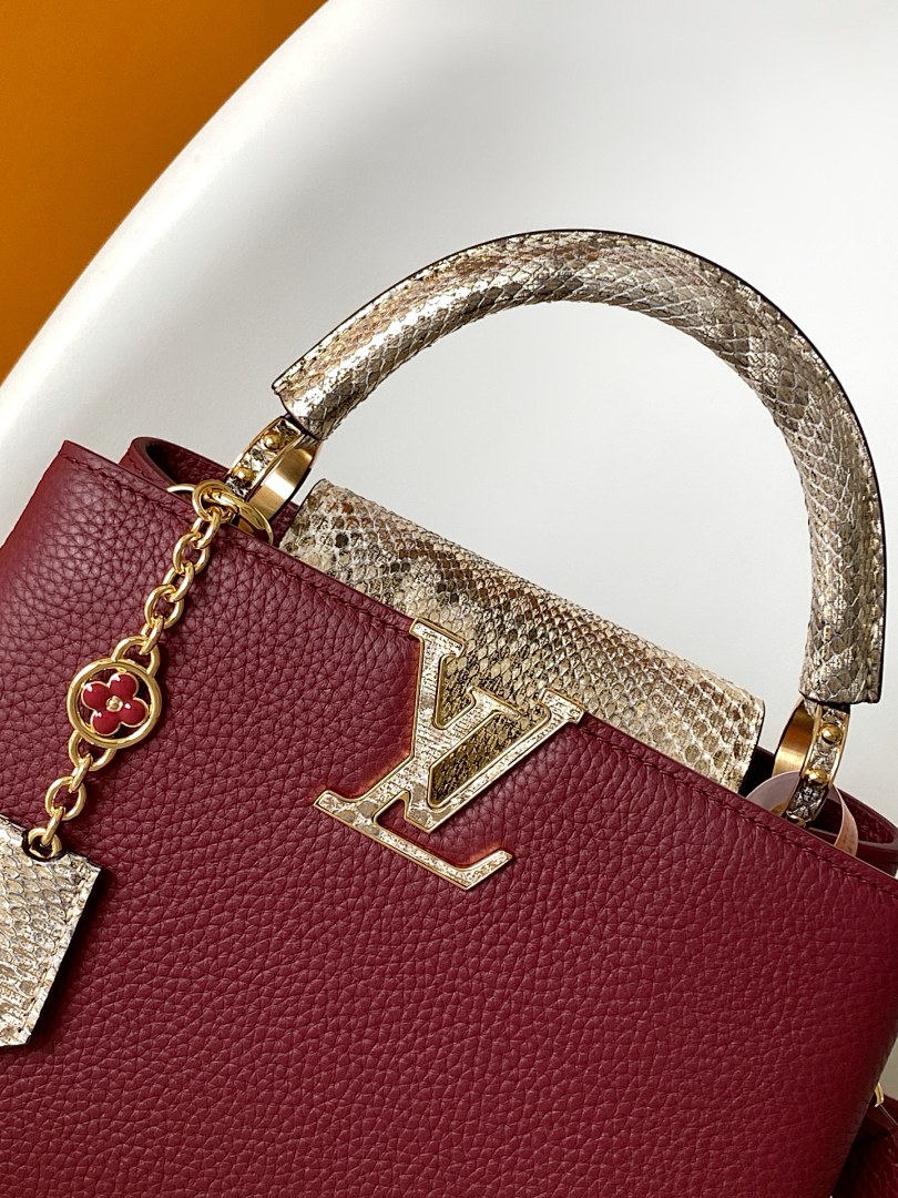 Louis Vuitton ルイヴィトン バッグ 新品 Nランク - 画像 (4)
