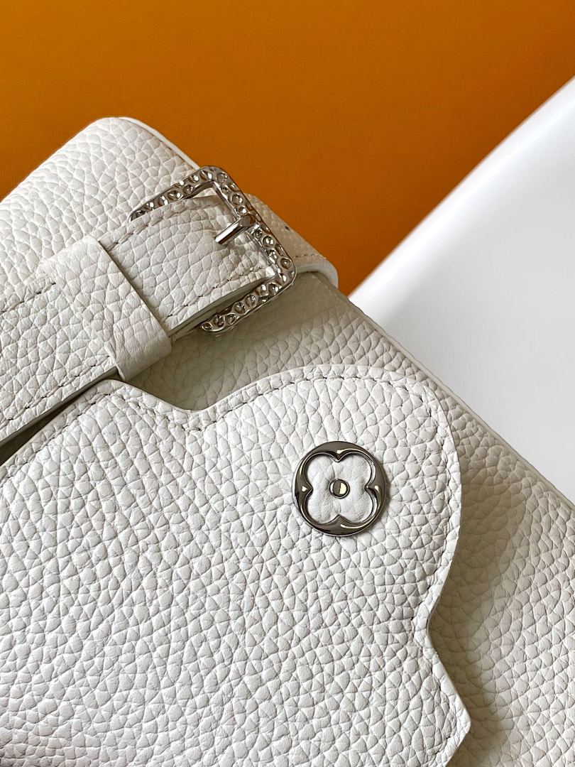 Louis Vuitton ルイヴィトン バッグ 新品 Nランク - 画像 (4)