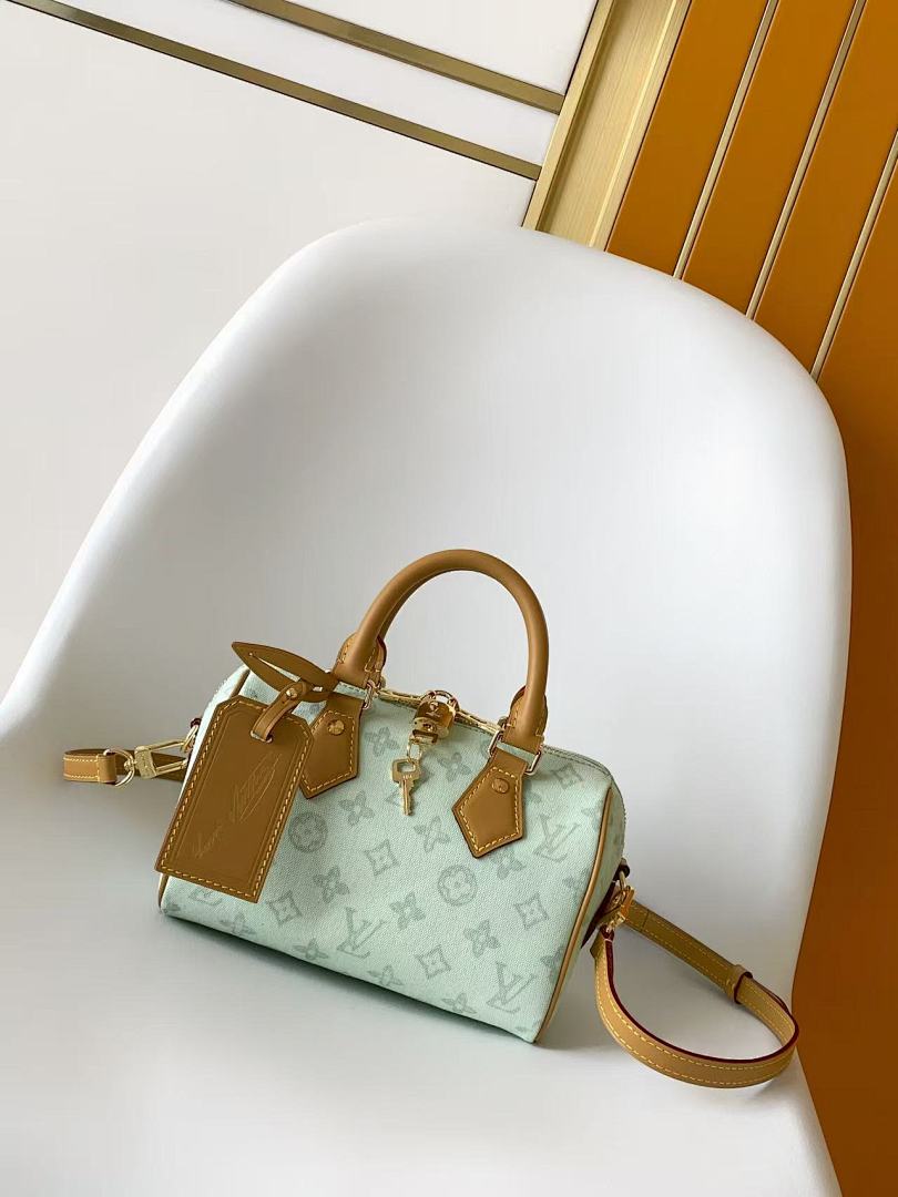 Louis Vuitton ルイヴィトン バッグ 新品 Nランク