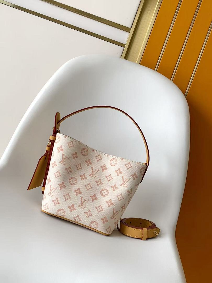 Louis Vuitton ルイヴィトン バッグ 新品 Nランク