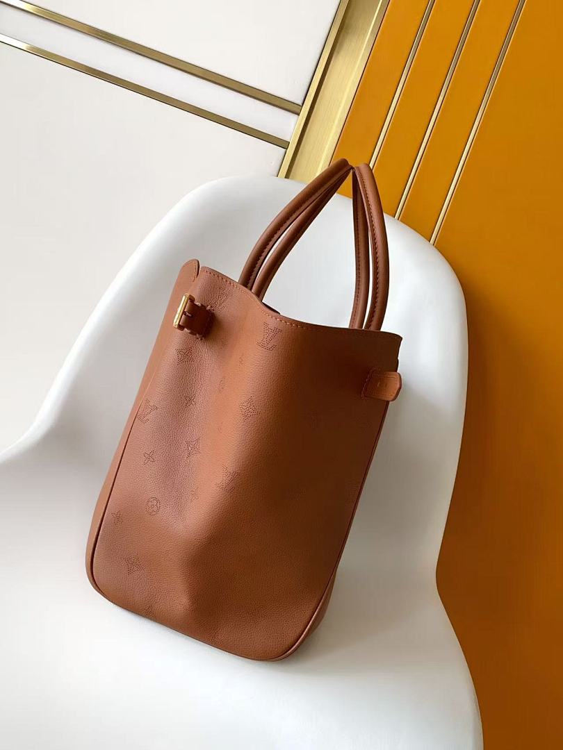Louis Vuitton ルイヴィトン バッグ 新品 Nランク - 画像 (5)