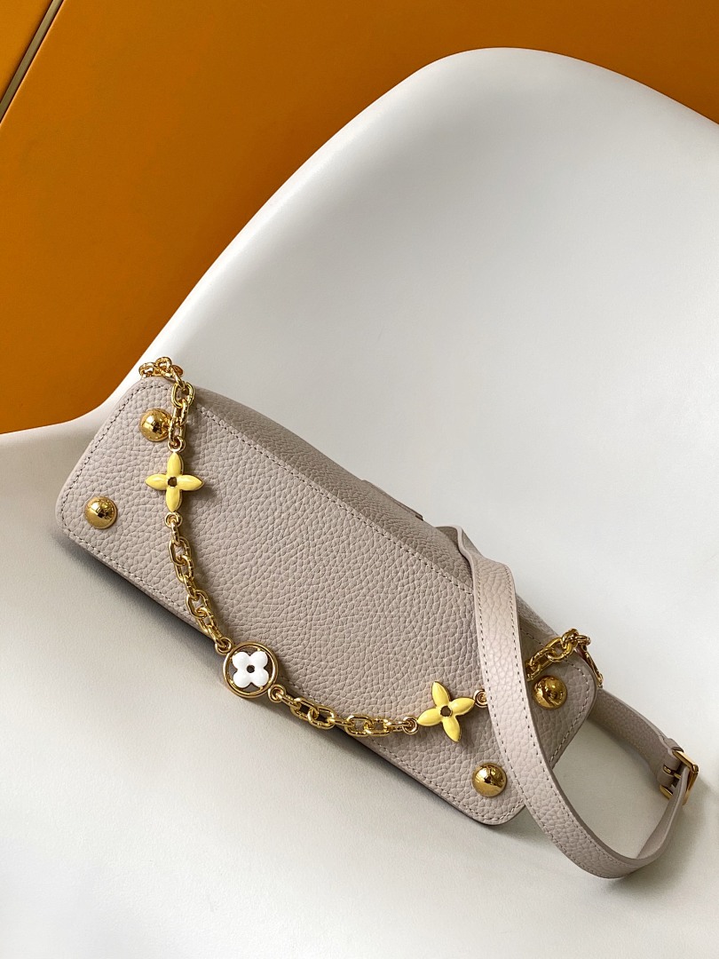 Louis Vuitton ルイヴィトン バッグ 新品 Nランク - 画像 (9)