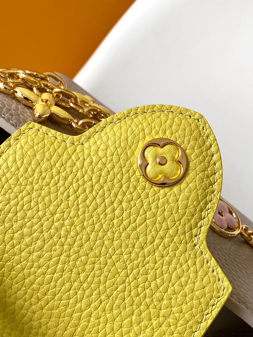 Louis Vuitton ルイヴィトン バッグ 新品 Nランク - 画像 (13)