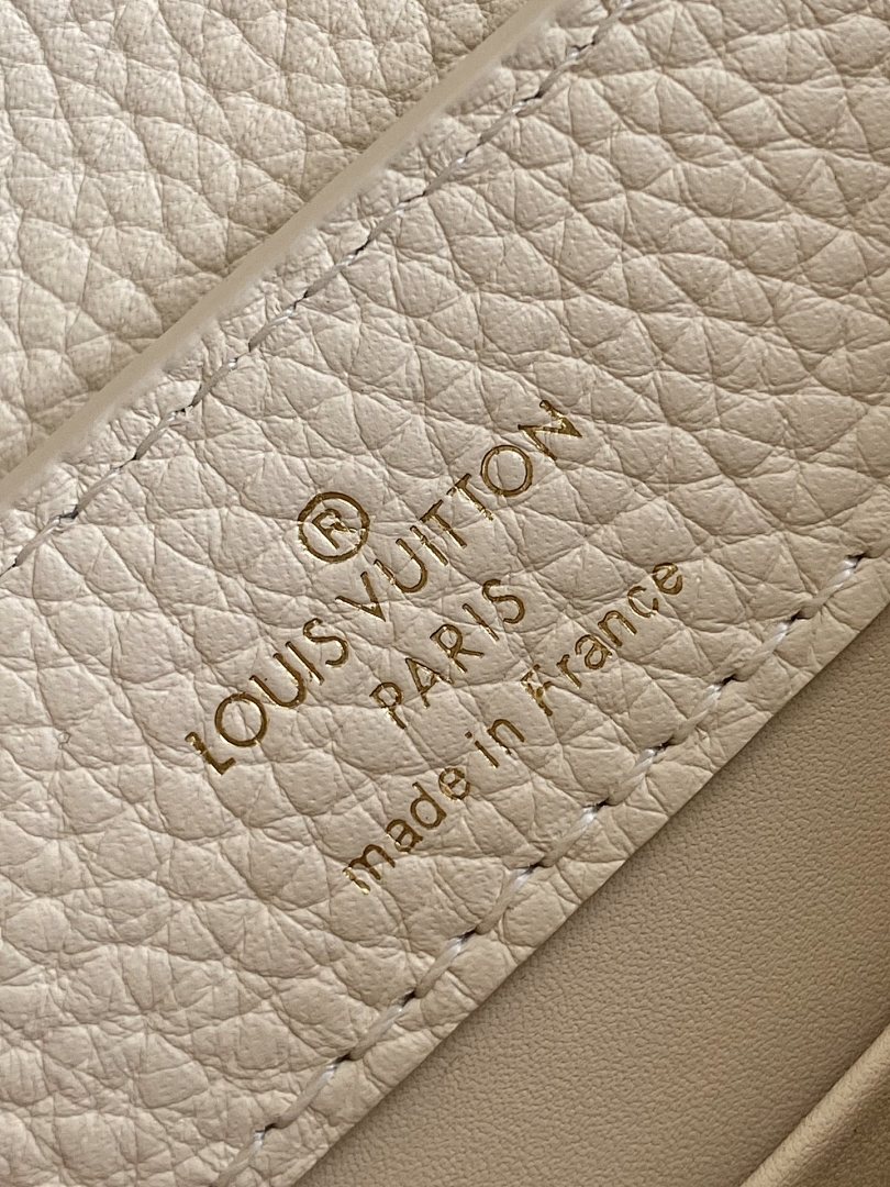 Louis Vuitton ルイヴィトン バッグ 新品 Nランク - 画像 (9)