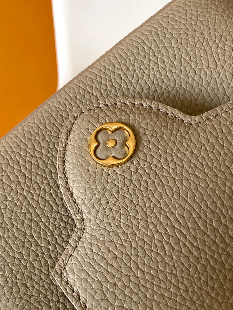 Louis Vuitton ルイヴィトン バッグ 新品 Nランク - 画像 (7)