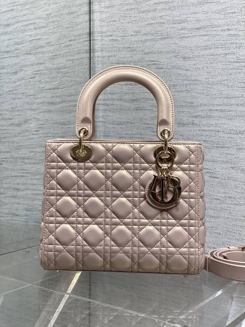 DIOR ディオール バッグ 新作 ファッション Nランク - 画像 (5)