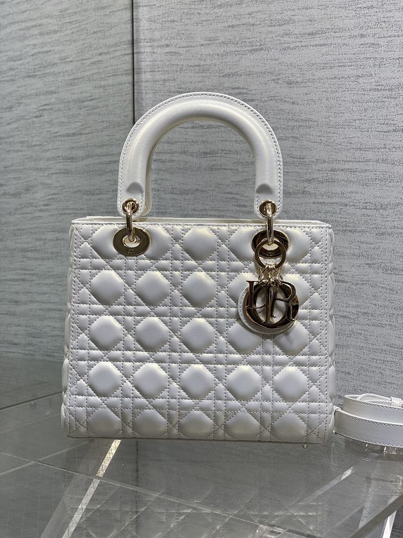 DIOR ディオール バッグ 新作 ファッション Nランク - 画像 (2)