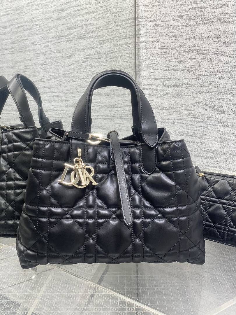 DIOR ディオール バッグ 新作 ファッション Nランク
