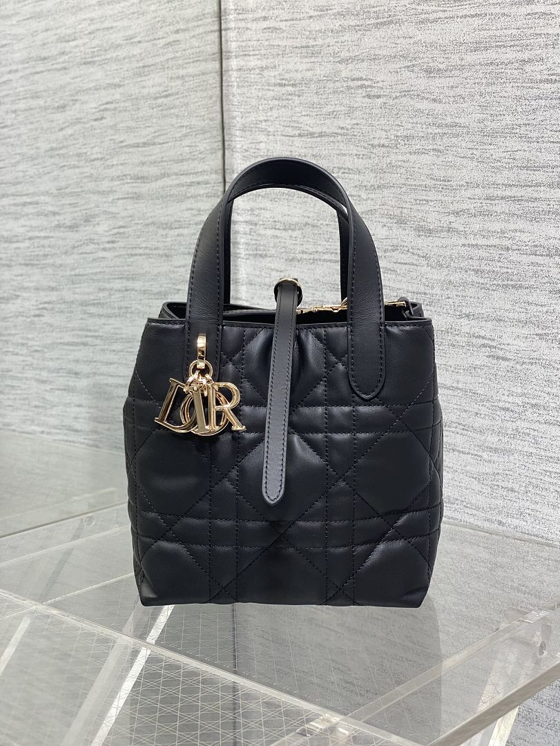 DIOR ディオール バッグ 新作 ファッション Nランク - 画像 (5)