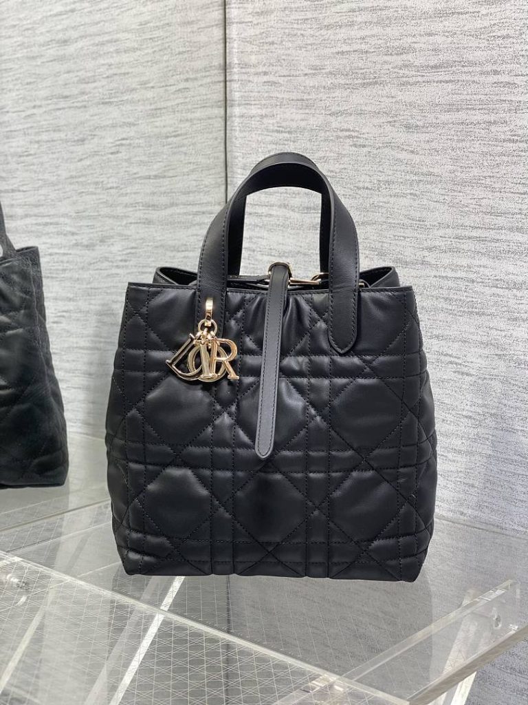 DIOR ディオール バッグ 新作 ファッション Nランク