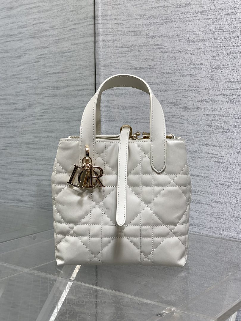 DIOR ディオール バッグ 新作 ファッション Nランク
