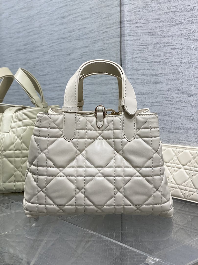 DIOR ディオール バッグ 新作 ファッション Nランク - 画像 (4)