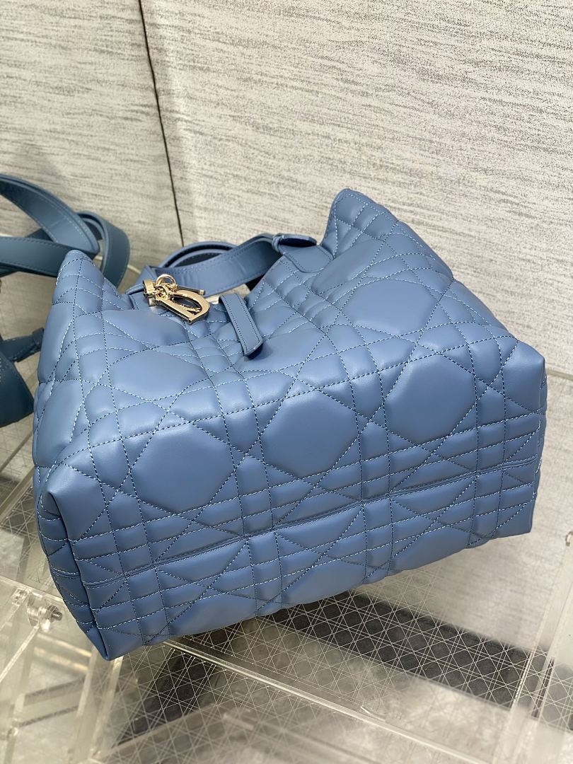 DIOR ディオール バッグ 新作 ファッション Nランク - 画像 (6)