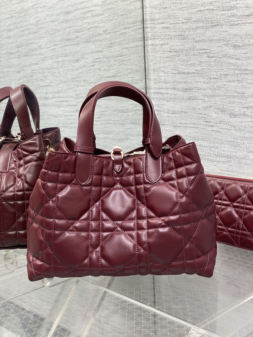 DIOR ディオール バッグ 新作 ファッション Nランク - 画像 (5)