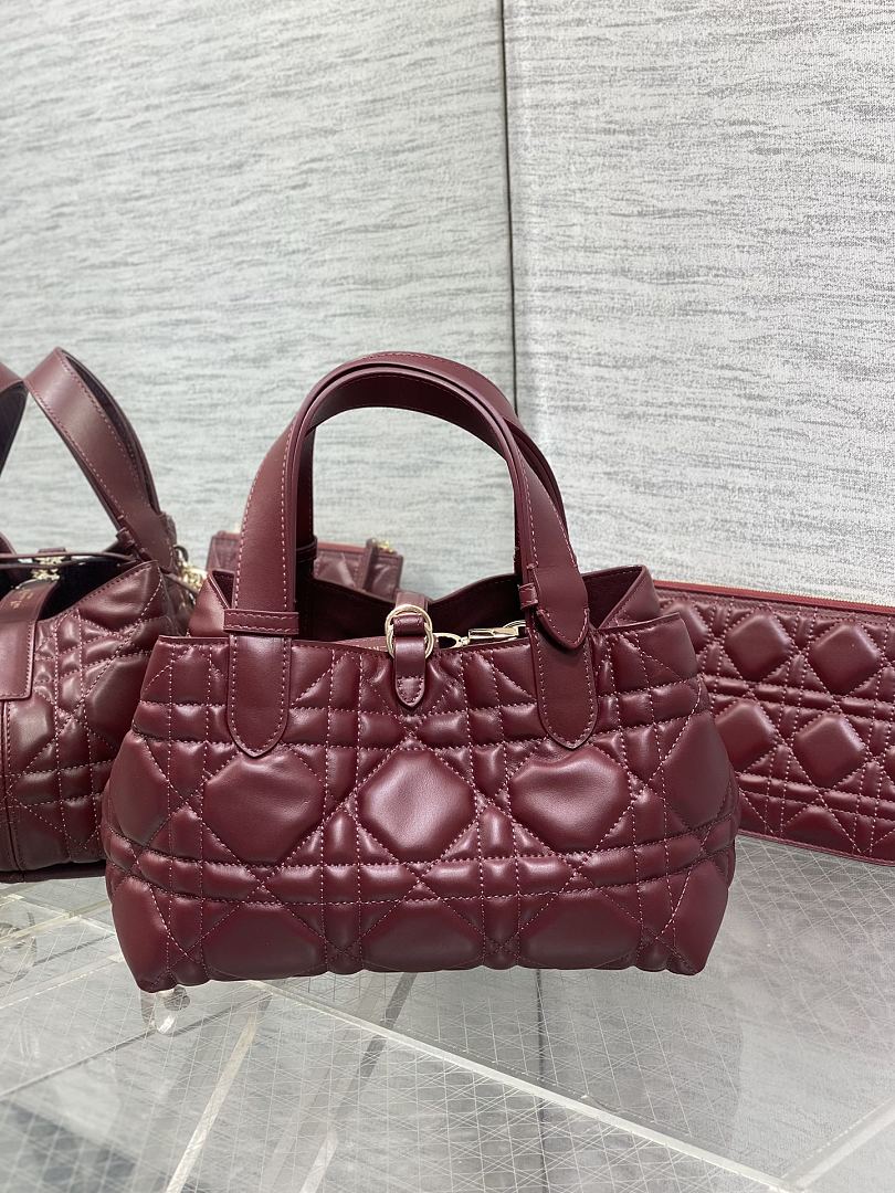 DIOR ディオール バッグ 新作 ファッション Nランク - 画像 (8)