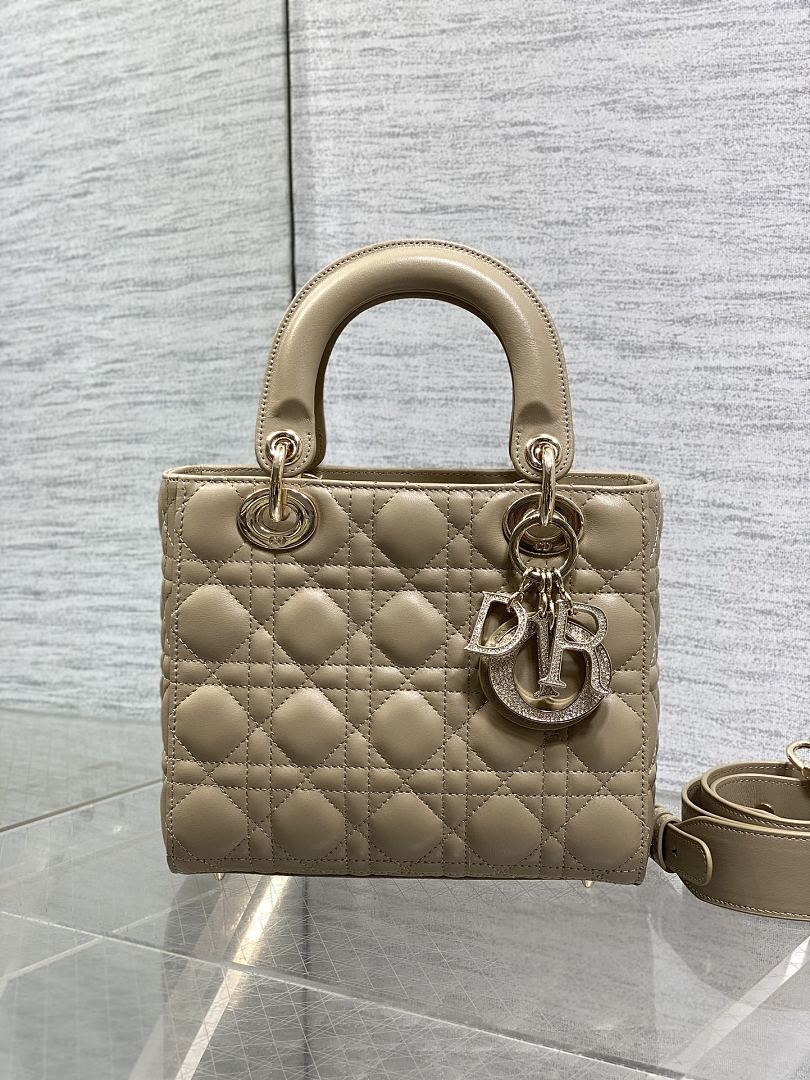 DIOR ディオール バッグ 新作 ファッション Nランク - 画像 (7)